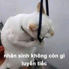 Tiểu Tổ Tông
