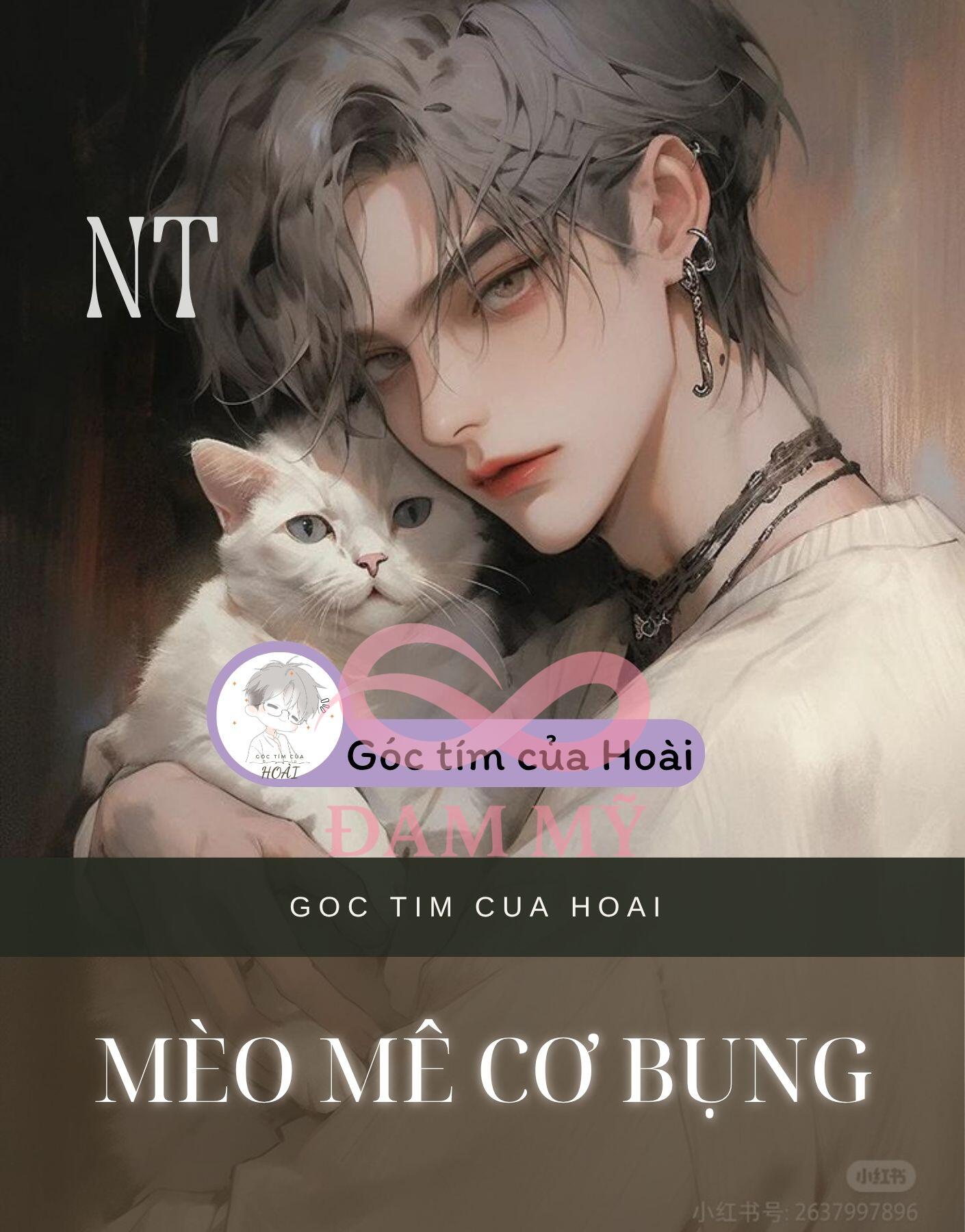 MÈO MÊ CƠ BỤNG