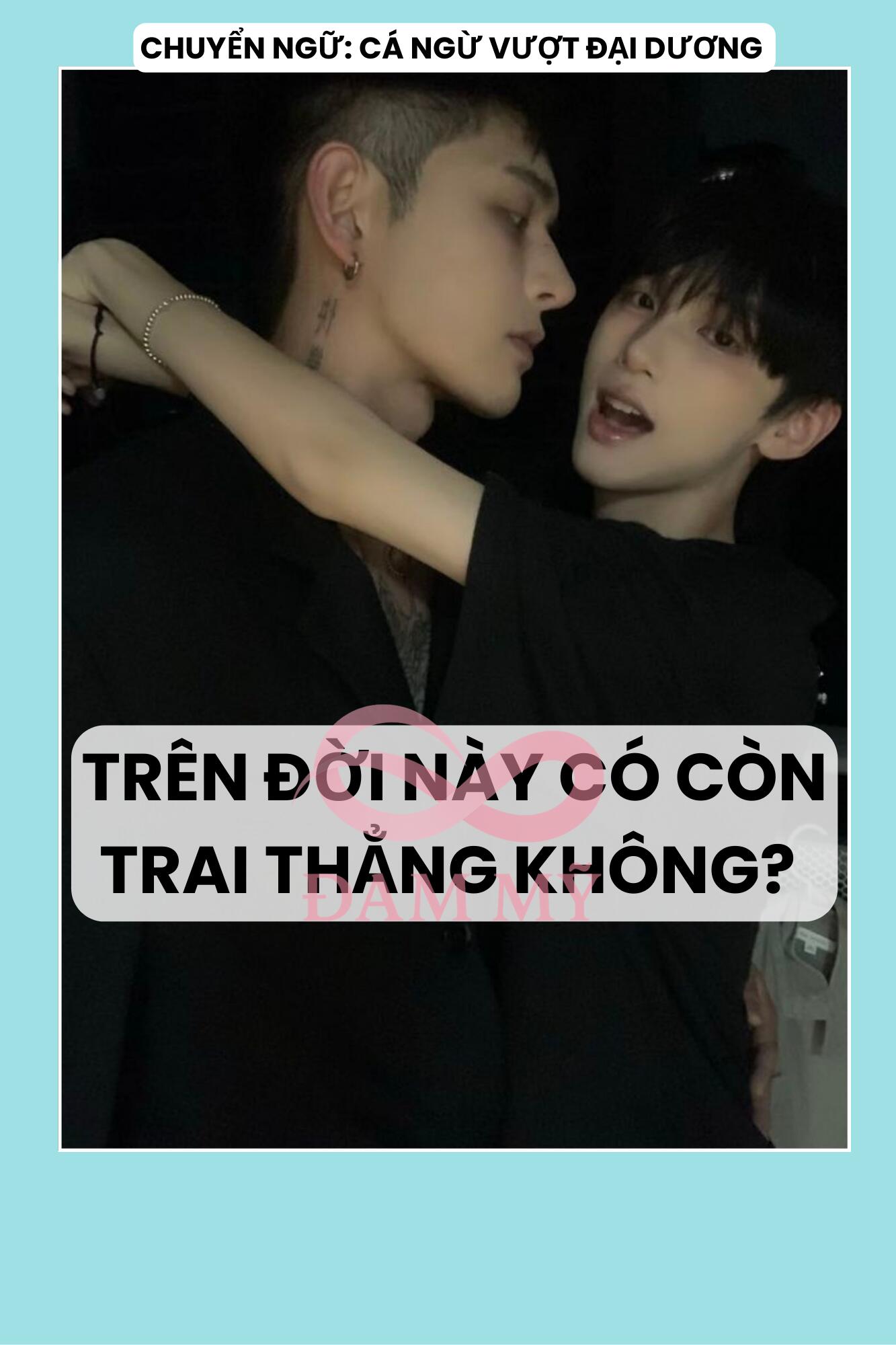 TRÊN ĐỜI NÀY CÓ CÒN TRAI THẲNG KHÔNG