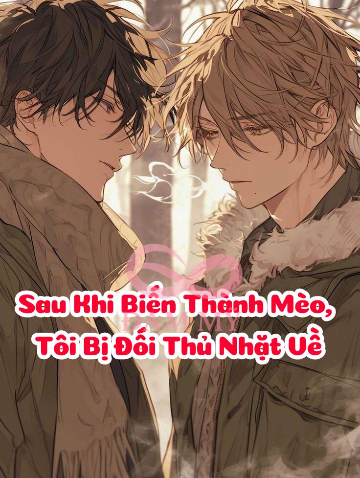 Sau Khi Biến Thành Mèo, Tôi Bị Đối Thủ Nhặt Về