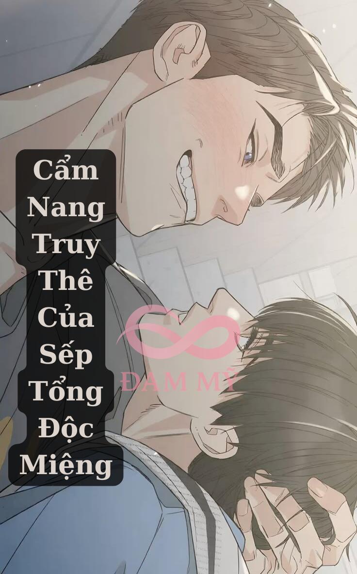 Cẩm Nang Truy Thê Của Sếp Tổng Độc Miệng
