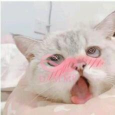 Những câu chuyện không đầu không đuôi của tôi